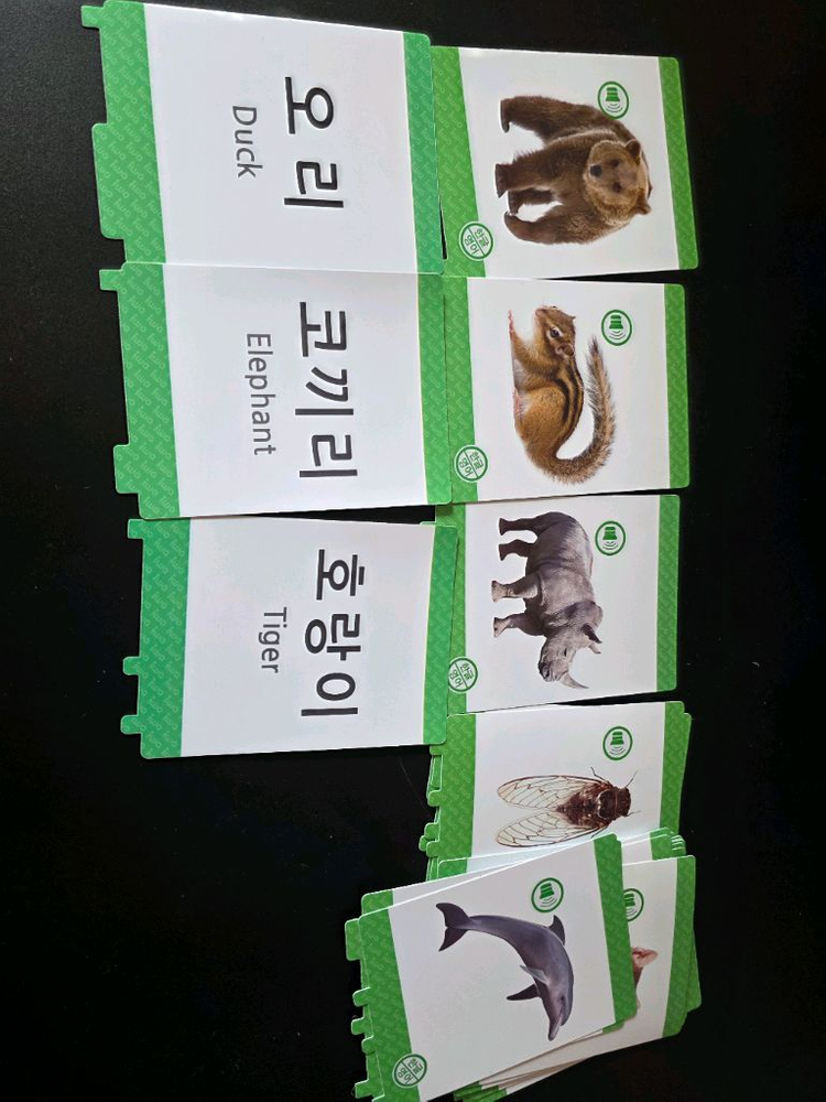 아이와 PAD 단어카드100 이미지