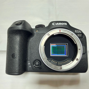 캐논 EOS R7 팝니다