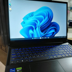 i7 13650HX RTX4060 게이밍 노트북