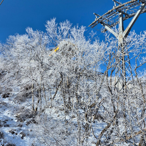 무주시즌권 삽니다. 이미지