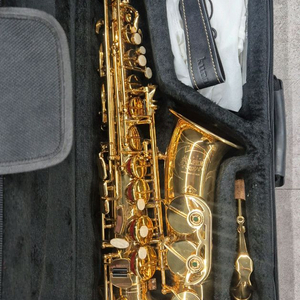 알토색소폰 알펜 색소폰