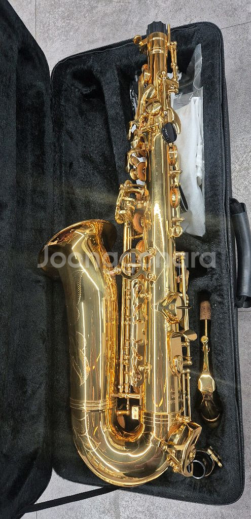 알토색소폰 알펜 색소폰--3