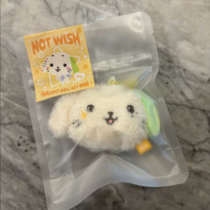 NCT WISH 위시돌 료 룐룐 인형키링(미개봉) 이미지