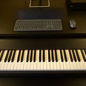 M-Audio Hammer88 마스터키보드 엠오디오 해머88