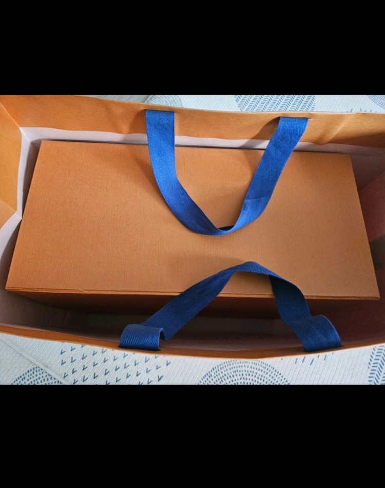 루이비통 브리프케이스--1