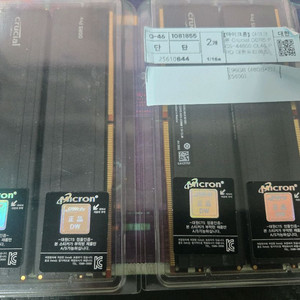 DDR5 48GB 메모리