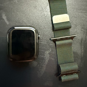 애플워치 10 티타늄 블랙 gps 셀룰러 46mm