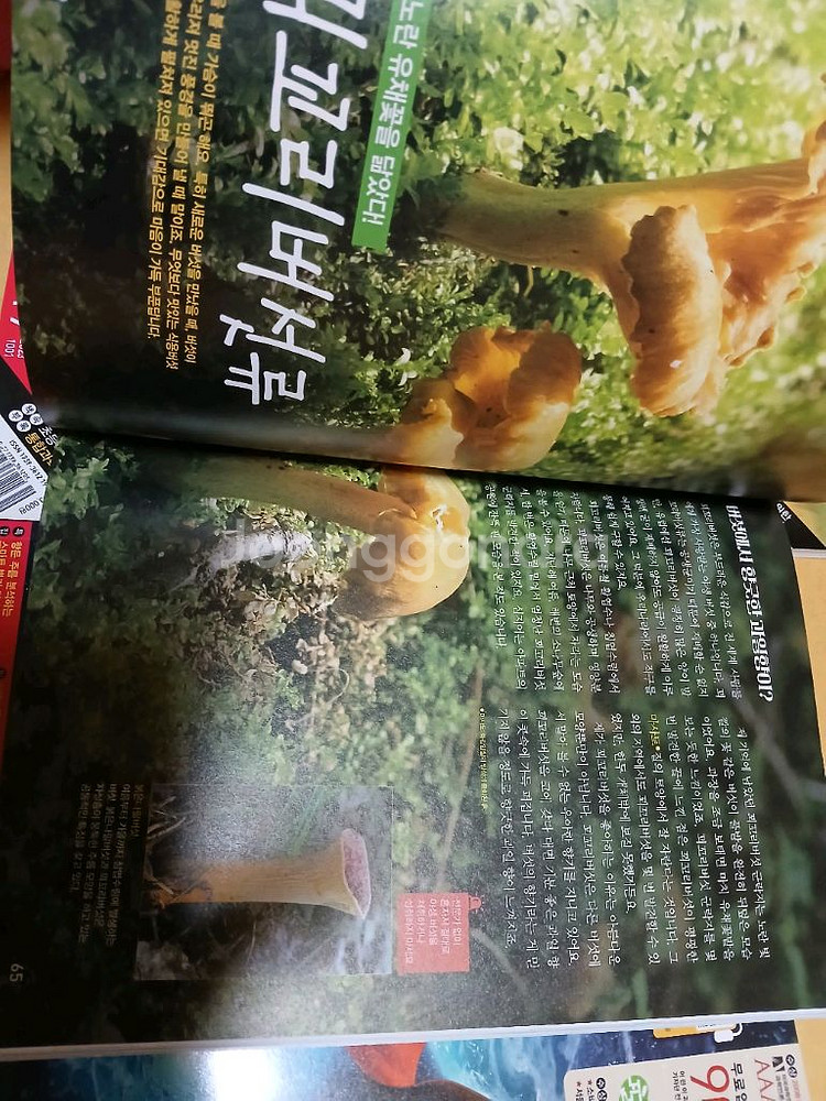 어린이과학동아 2024까지 과월호--7