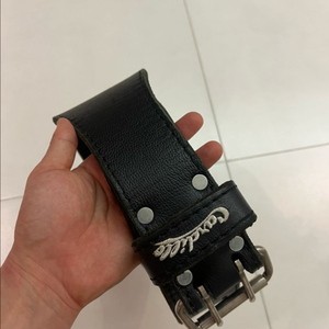 카딜로310dl XS [민트급]