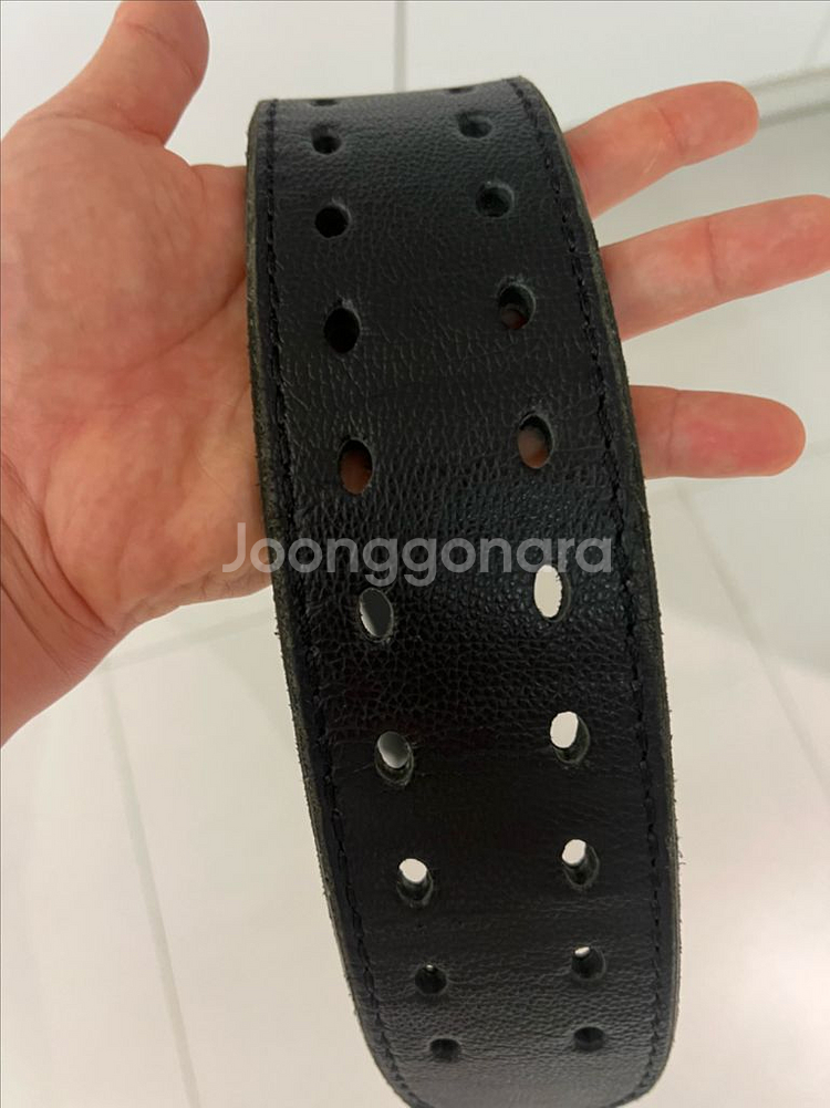 카딜로310dl XS [민트급]--1