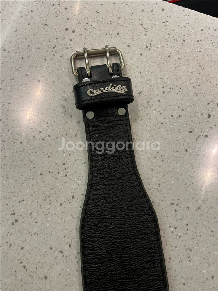 카딜로310dl XS [민트급]--5