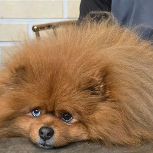 5070ti 노트북 구합니다.