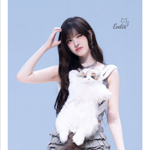 chongker 아이브 리즈 고양이 인형 가방 이미지