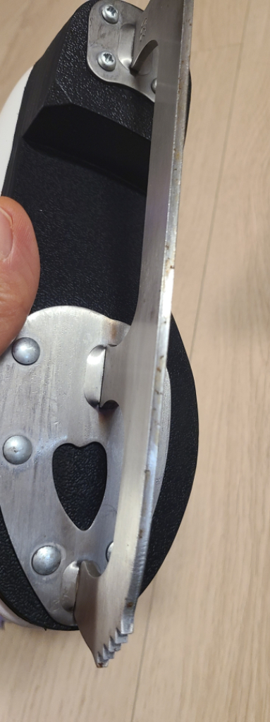 VIC dream 피겨 스케이트--3