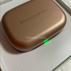 가격내림)새상품!!!뱅앤올룹슨 이어폰 beoplay