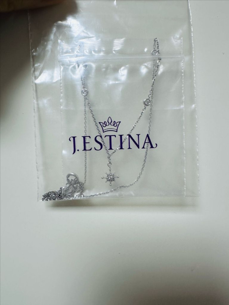 제이에스티나 14k 금목걸이 화이트골드 반택포함--3