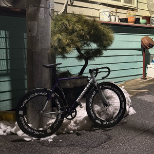 엔진11 픽시 에그플랜트 걍 개싸게 던질게요 판매/대차 이미지