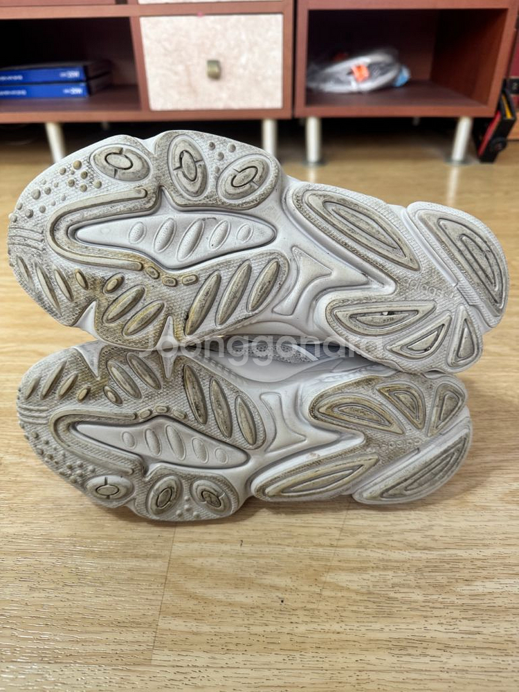 아디다스 오즈위고 아이보리 운동화 (250cm)--6