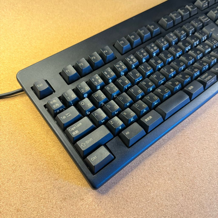 리얼포스 토프레 05 올드 무접점 키보드 (윤활/방청)--1