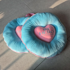 임영웅 콘서트 방석