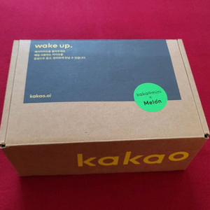 그 유명했던 만능 AI 헤이카카오(신품)