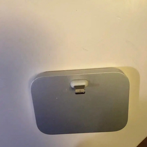 애플라이트닝독