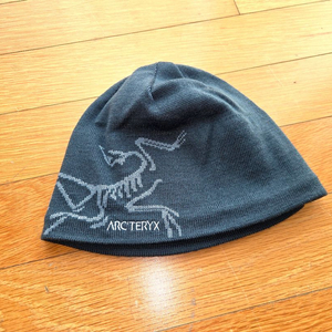 아크테릭스 비니