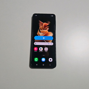 Z플립3 256GB