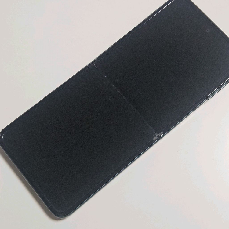 Z플립3 256GB--1