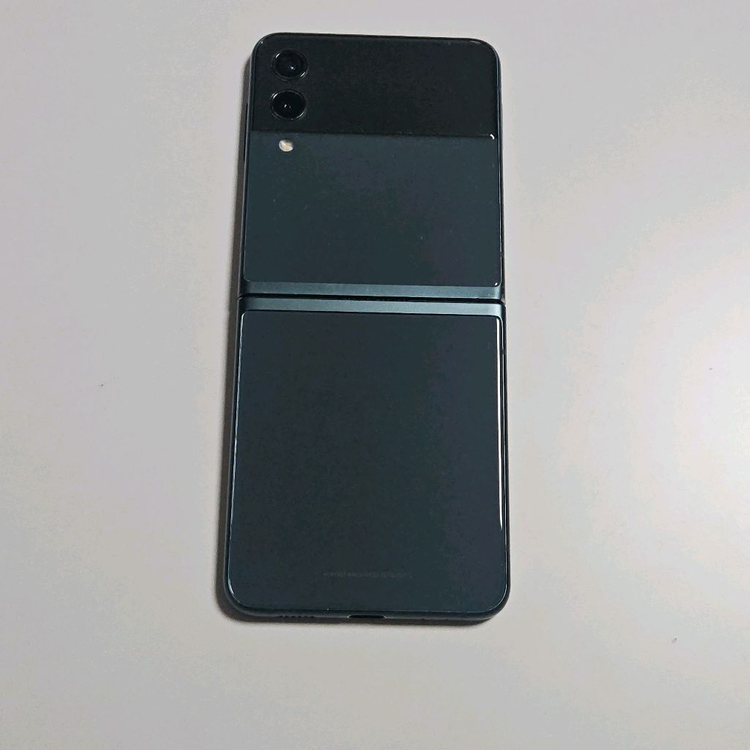 Z플립3 256GB--2