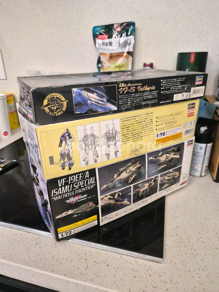 하세가와 마크로스--1