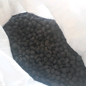 국산 검은콩 7.6kg 팝니다