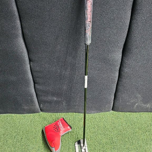 스카티카메룬 패스트백 OC퍼터 34인치