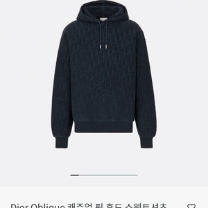 디올 테리 후드