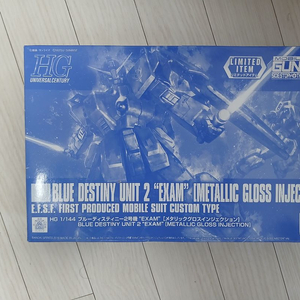 hg 블루 데스티니 2호기 메탈릭 글로스 인젝션