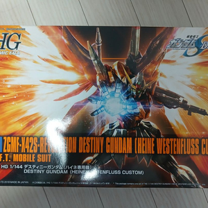hg 데스티니 건담 하이네기