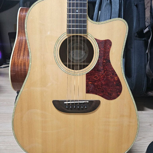 오렌지우드 t180ce 탑백솔리드