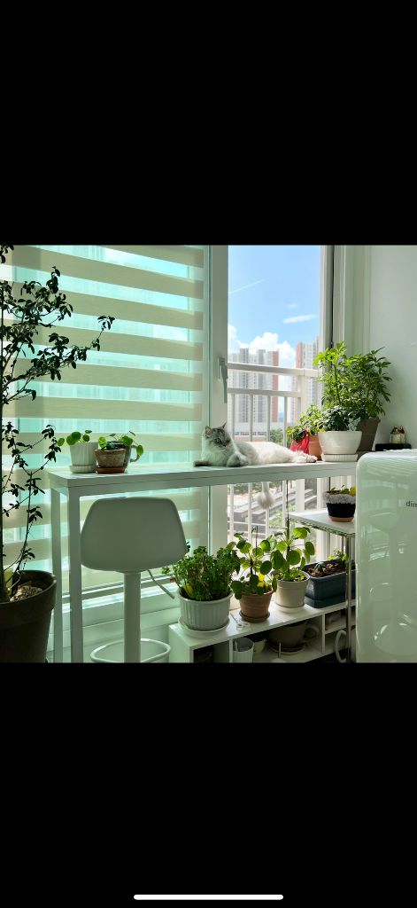 쁘띠김치냉장고 (판매완료) 이미지