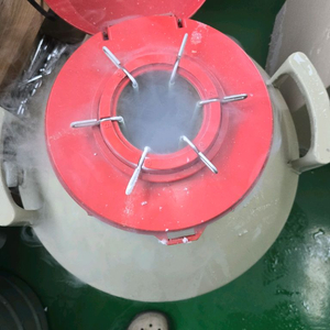 한우정액 이것저것