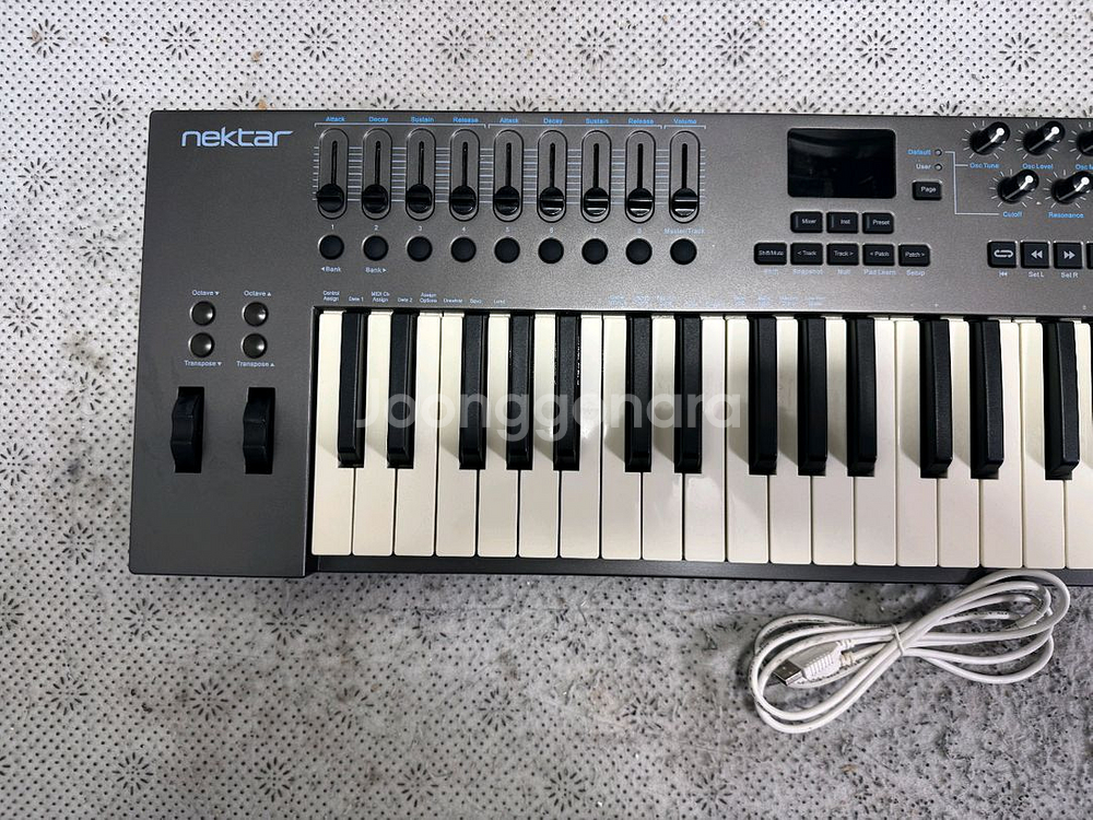 넥타 LX49+ 마스터건반 Nectar IMPACT LX-49+ LX49 +--1