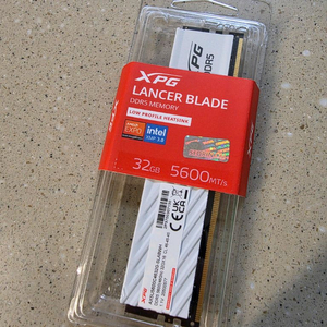 ADATA DDR5-5600 CL46 LANCER BLADE 화이트 파인인포 (32GB)