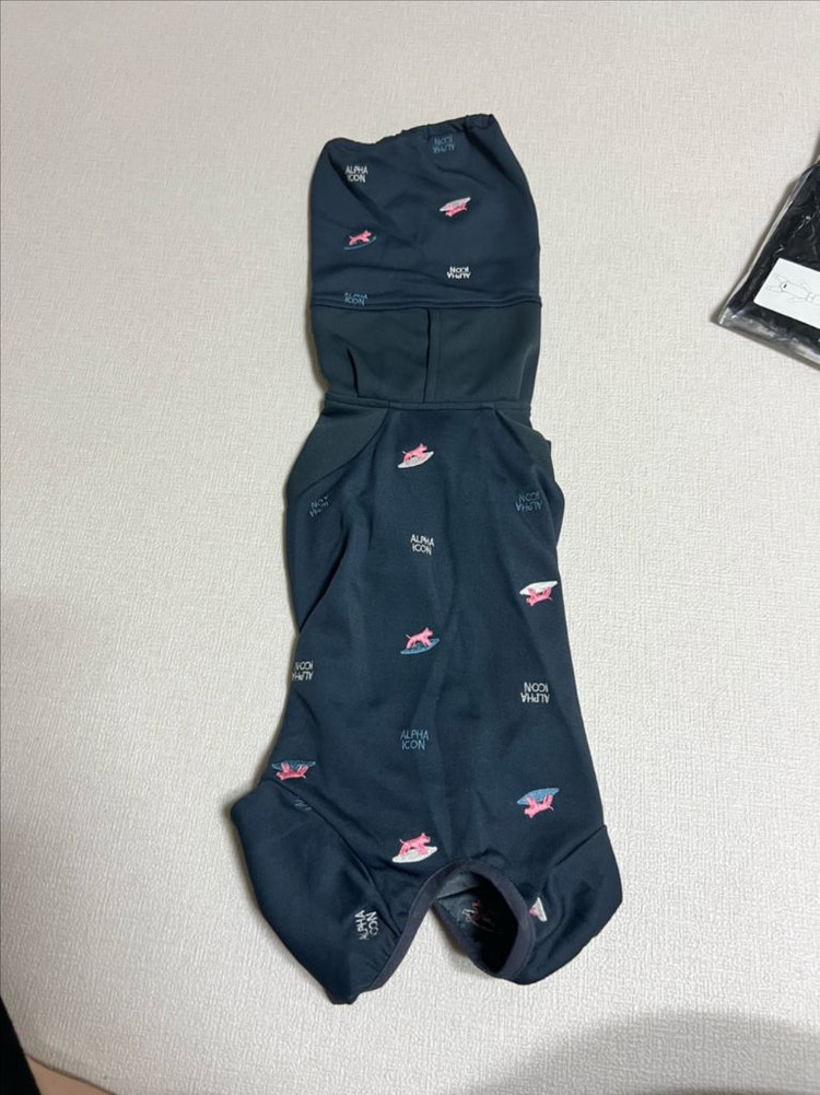 알파아이콘 독가드쿨 이미지