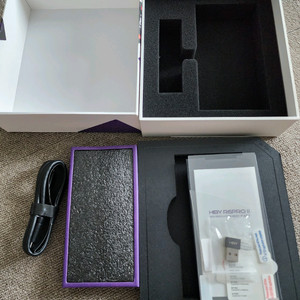 하이비 r6 pro2 dap, 정품 디그니스 케이스