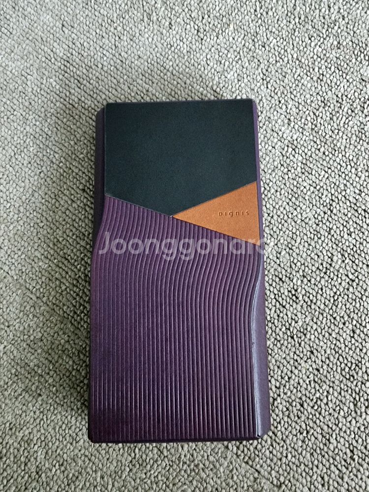 하이비 r6 pro2 dap, 정품 디그니스 케이스--6