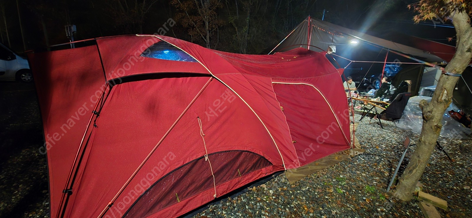 안나한 300, 베스티블, X폴--1