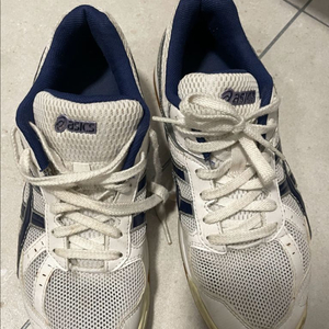 아식스 로테리브레 265