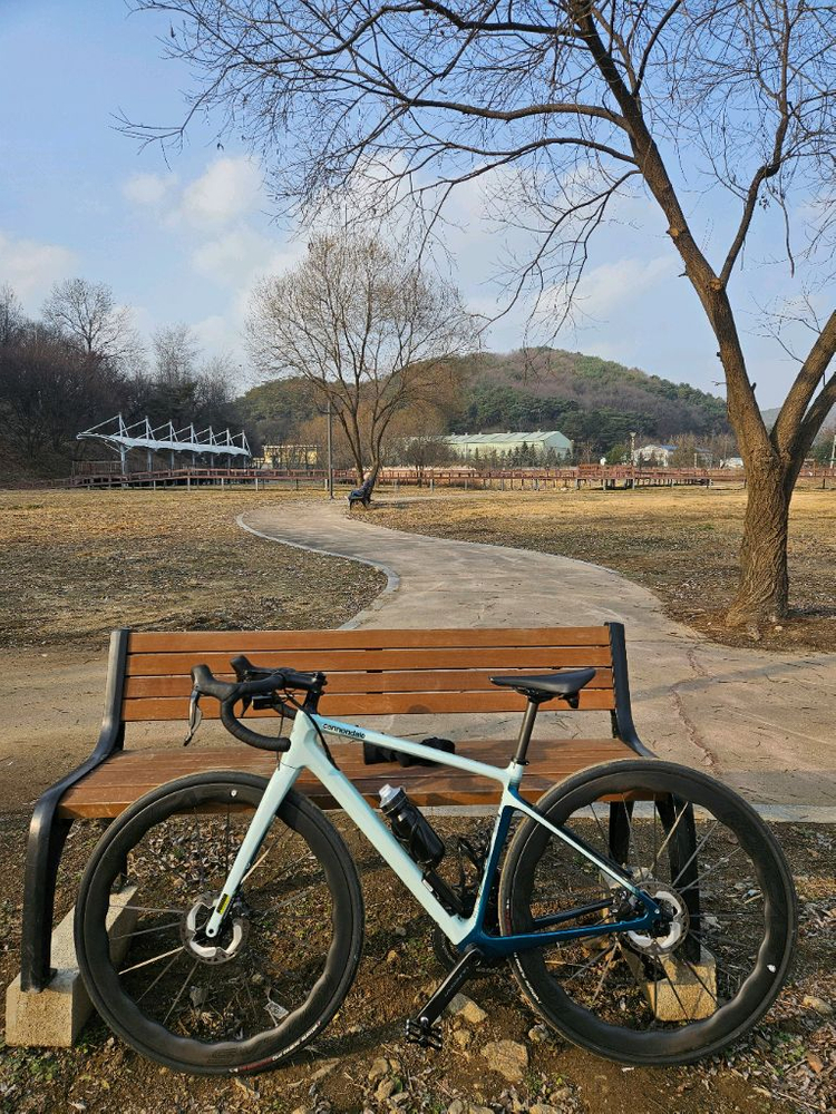 캐논데일 시냅스 카본2 RLE/ 울테그라 Di2 / 카본휠 / 51사이즈--0