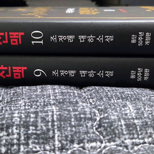 조정래 태백산맥 등단 50주년 개정판