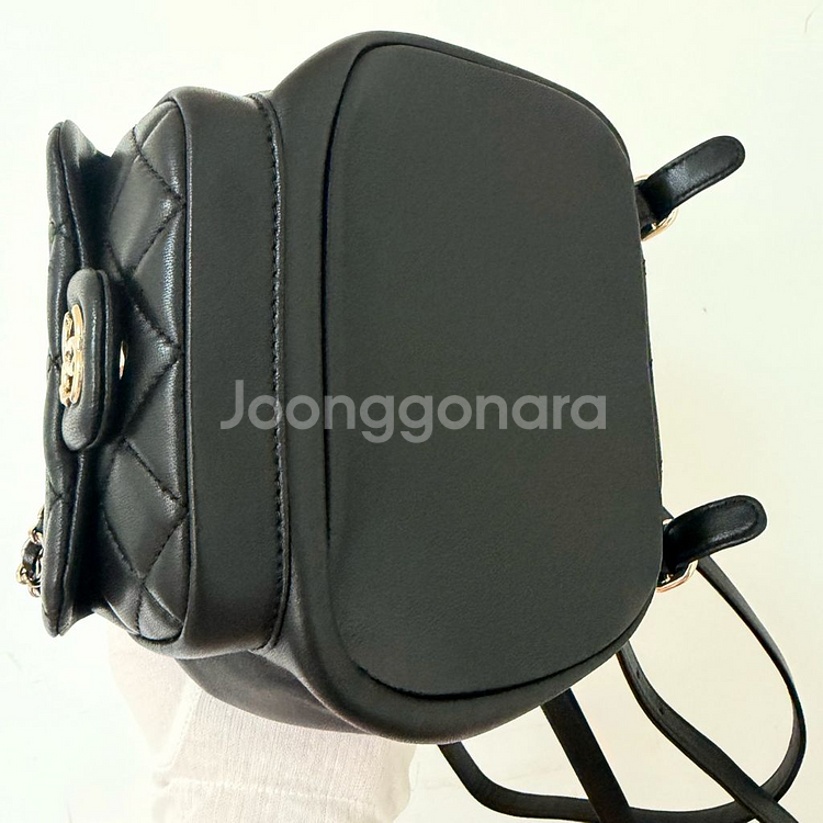 (새상품) 샤넬 듀마 백팩--6