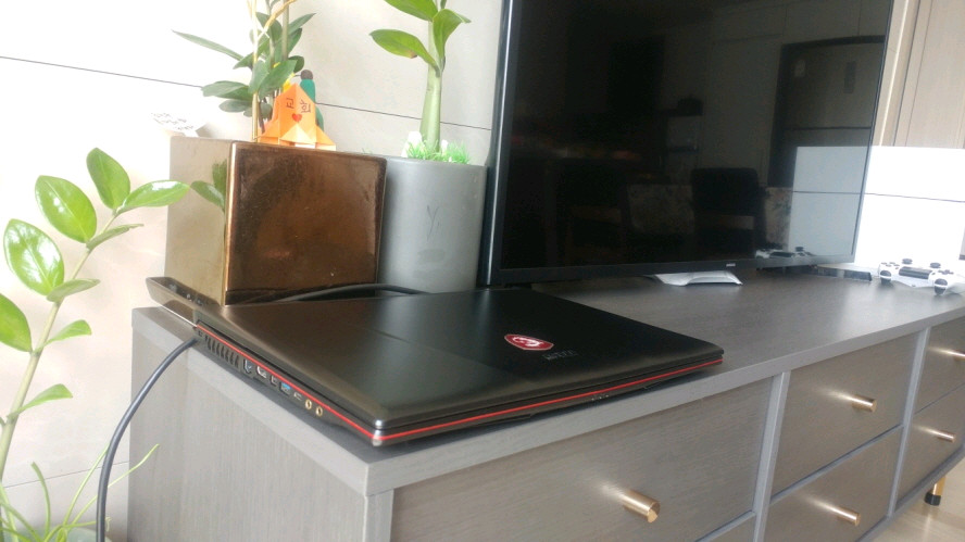 MSI GL63 8RE i7 게이밍 노트북/GTX1060 이미지